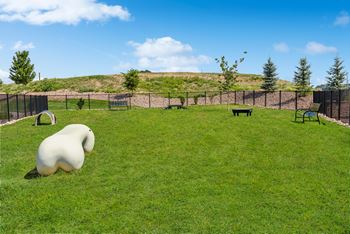 Dog park